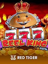 Reel King Mega