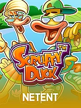 Scruffy Duck