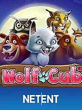 Wolf Cub